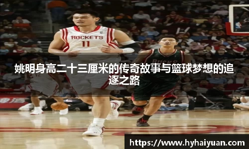 姚明身高二十三厘米的传奇故事与篮球梦想的追逐之路