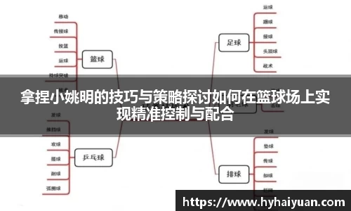 拿捏小姚明的技巧与策略探讨如何在篮球场上实现精准控制与配合